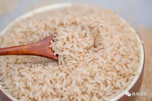 这才是家庭主食该有的模样,萌煮有机活性胚芽米正式开售,给最爱的家人最好的米
